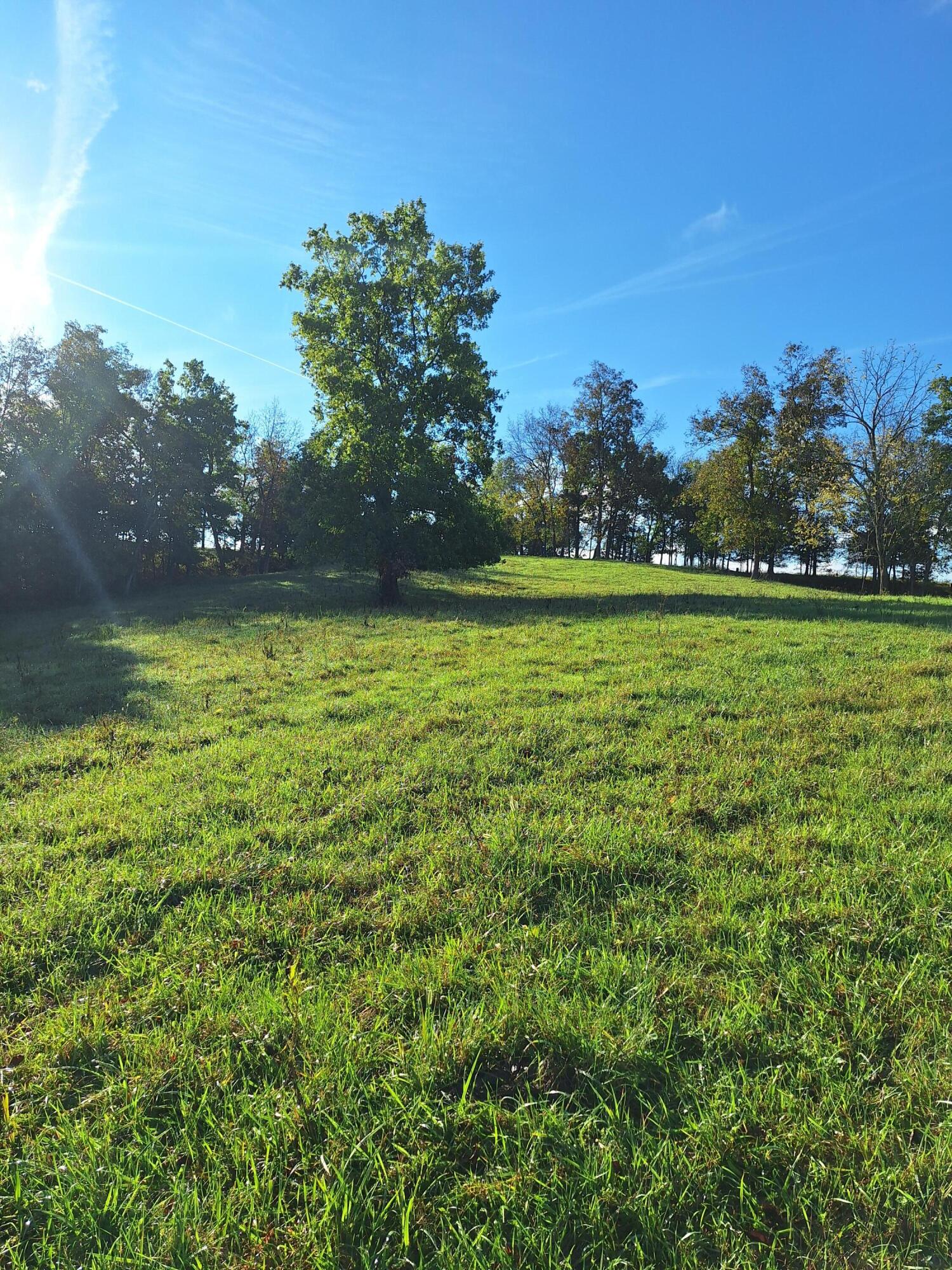 0 Casey Mill Road Berry, KY 41003 - Photo 11 of 28 Gallery Image 11