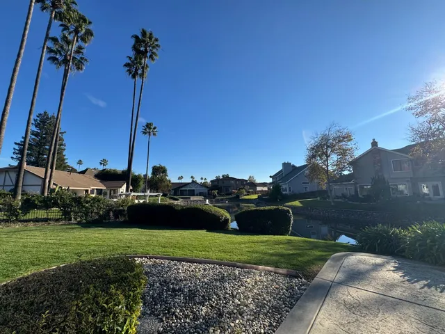 a view of a garden with a tree