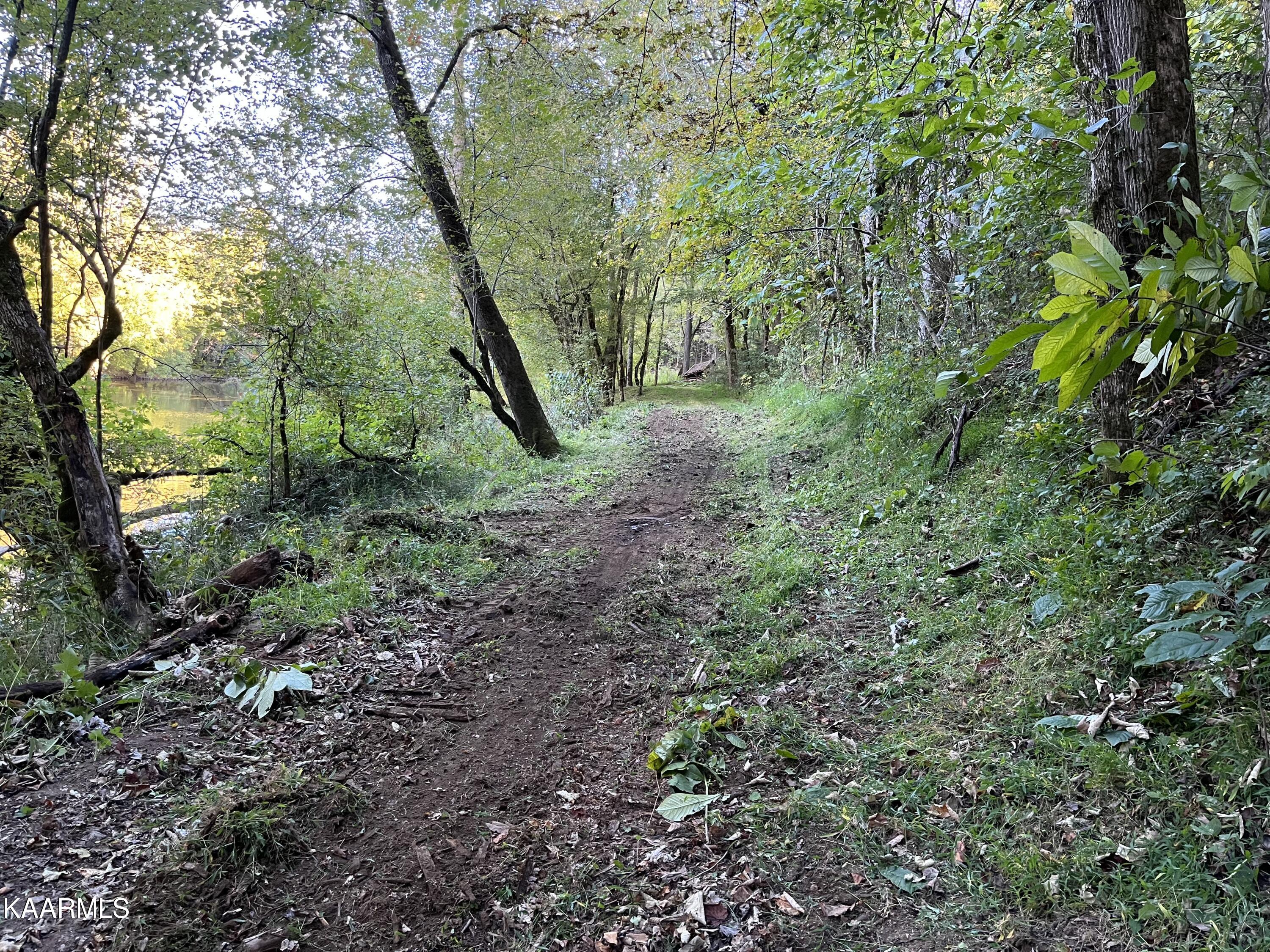 Cave Springs Road Tazewell, TN 37879 - Photo 4 of 11 6BF9E487-F27C-475A-8768-E023174DDF8A