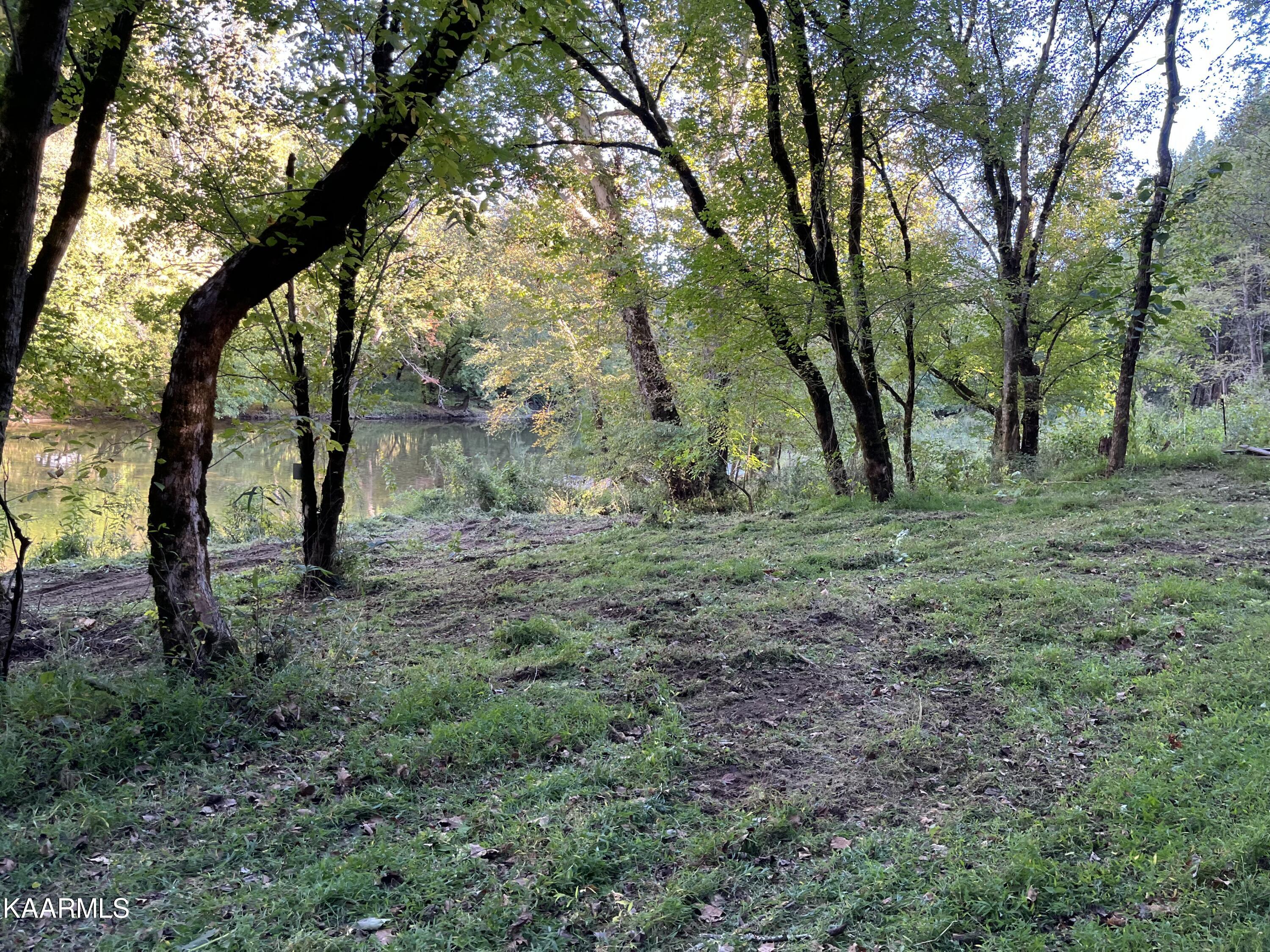Cave Springs Road Tazewell, TN 37879 - Photo 5 of 11 3A09821A-3993-4223-B9DD-C9E14B54AFF5