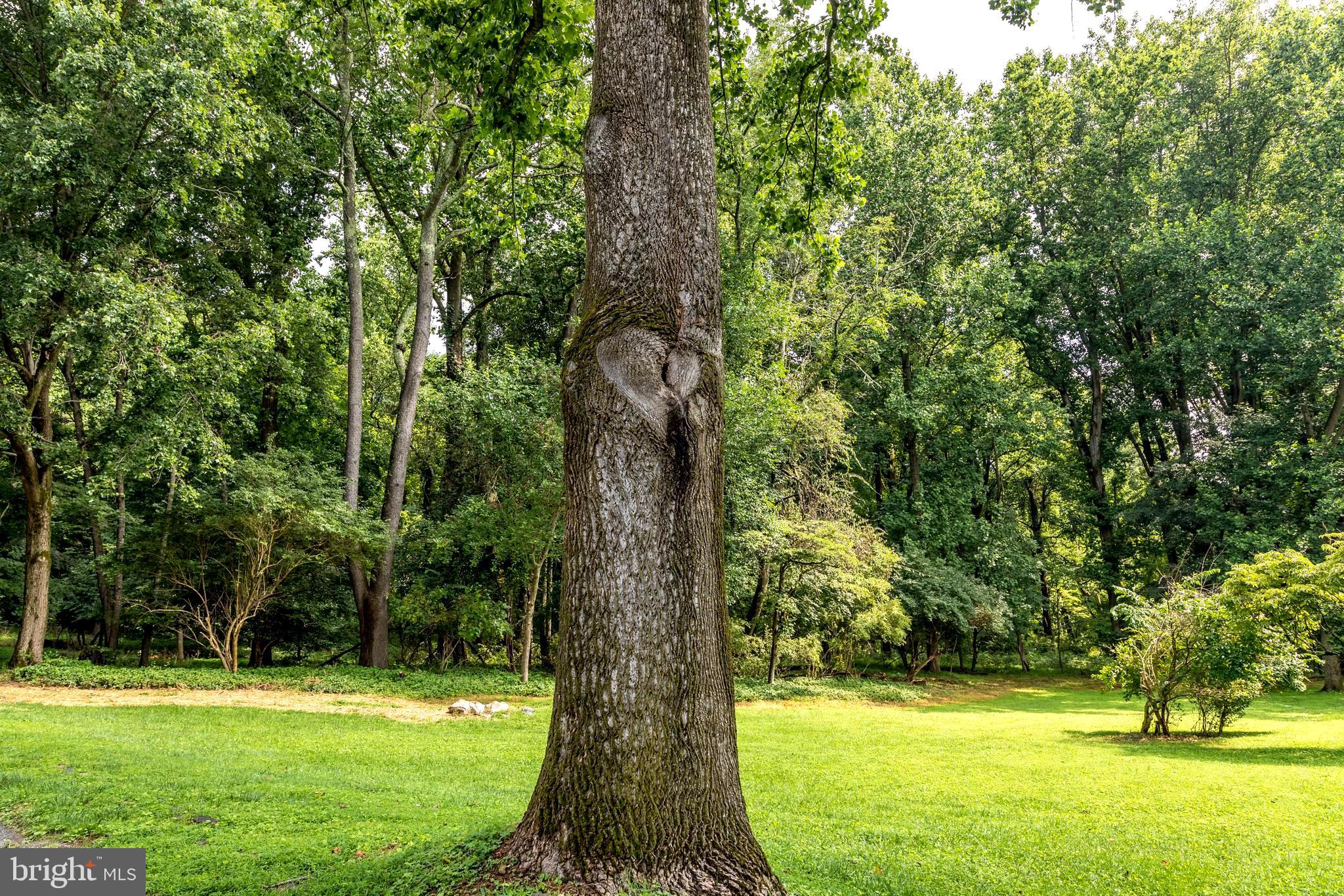 13711 Killarney Court Phoenix, MD 21131 - Photo 73 of 78 Home filled with lots of love!