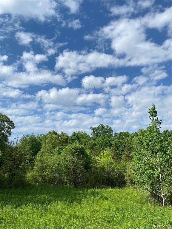 0 Kaiser Road Gregory, MI 48137 - Photo 25 of 29