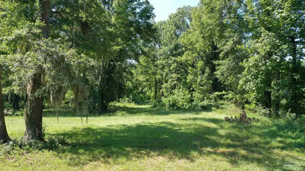 $54,900 | Lot 21 Judge Greene Place, Unit 1637, Greensboro, AL 36744