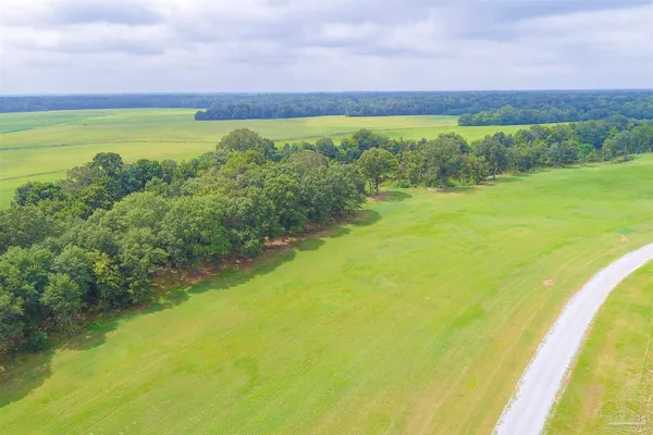 $54,900 | Lot 21 Judge Greene Place, Unit 1637, Greensboro, AL 36744