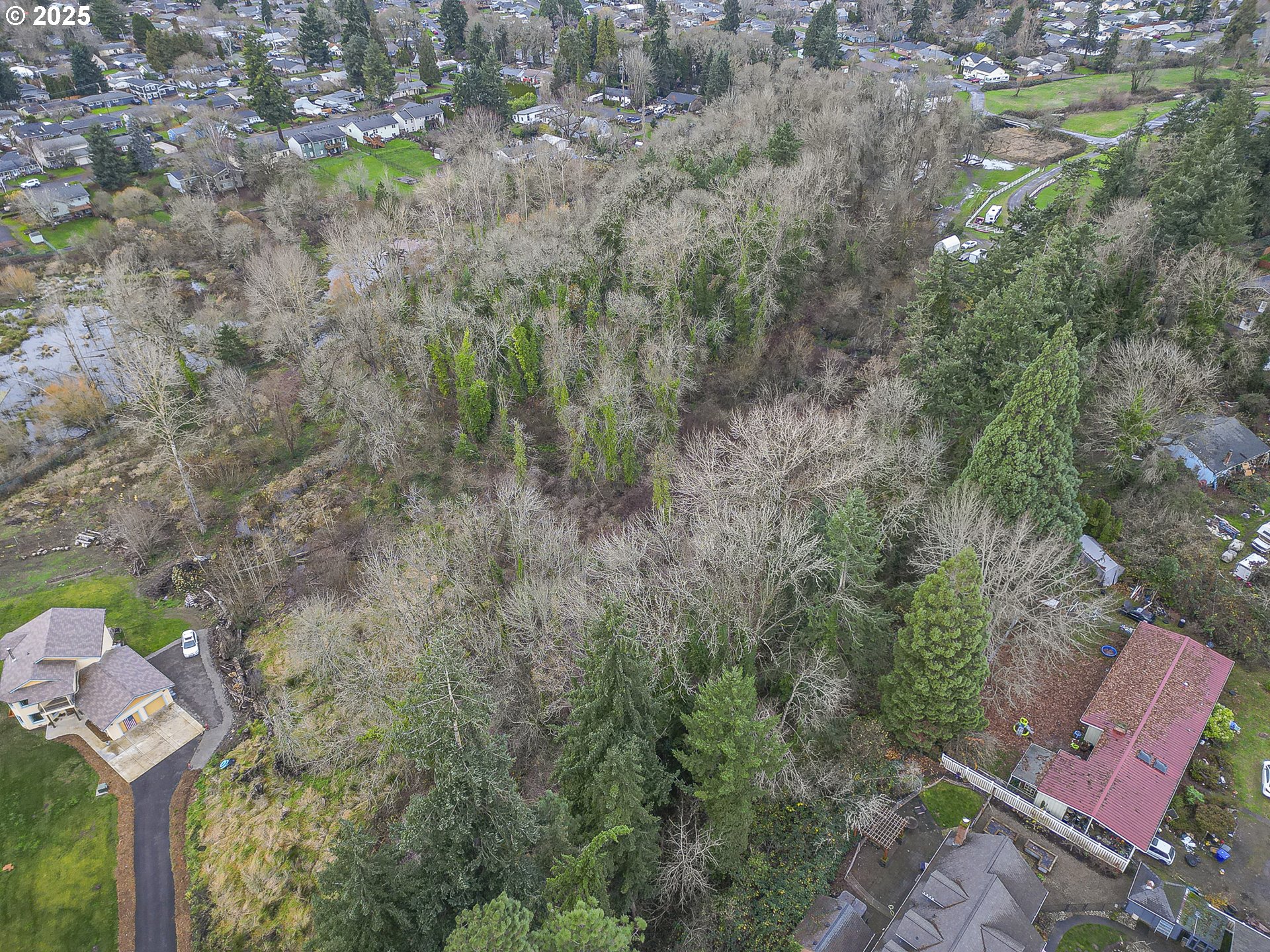 0 Verda Lane Northeast Keizer, OR 97303 - Photo 11 of 11