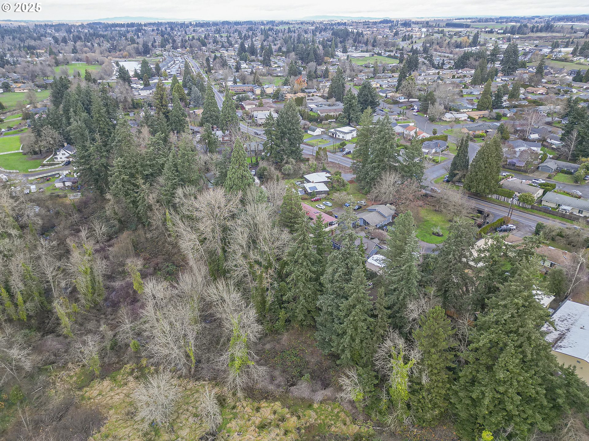 0 Verda Lane Northeast Keizer, OR 97303 - Photo 7 of 11
