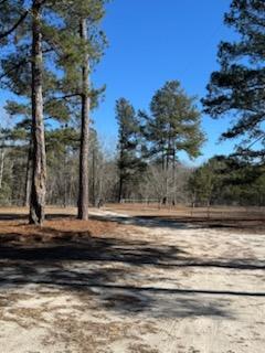 481 Butler Drive Livingston, SC 29107 - Photo 21 of 24 IMG_9548_1768671085299