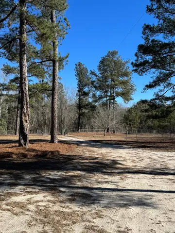 $199,900 | 481 Butler Drive, Livingston, SC 29107