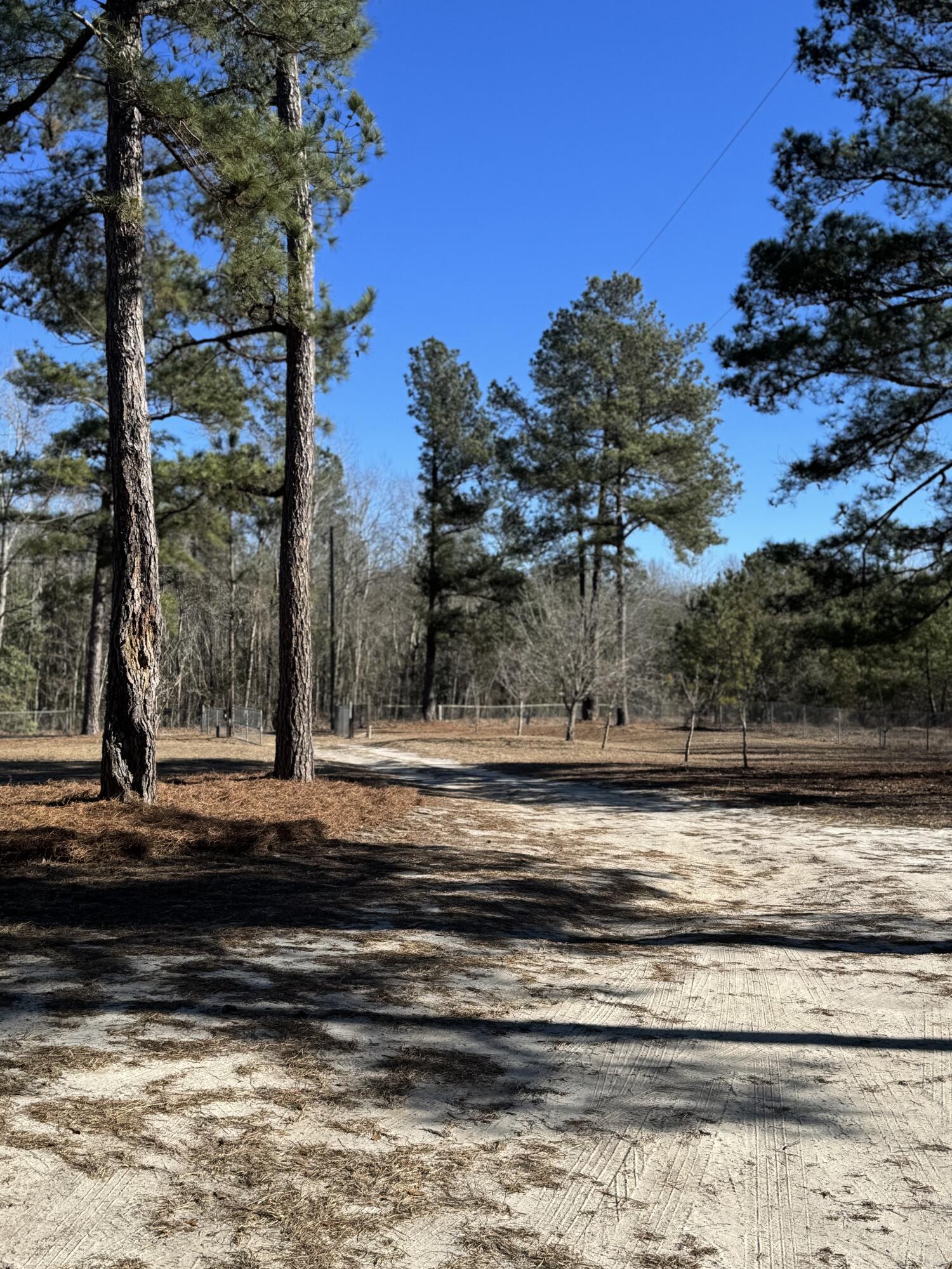 481 Butler Drive Livingston, SC 29107 - Photo 23 of 24 IMG_9549