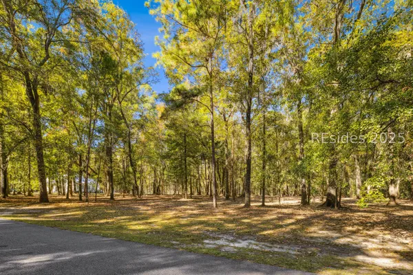 $250,000 | 217 McAllister Landing, Richmond Hill, GA 31324