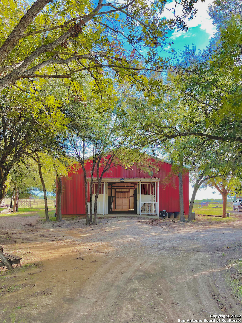 10671 Briggs Road Atascosa, TX 78002 - Photo 1 of 38 a view of large trees with yard and large trees