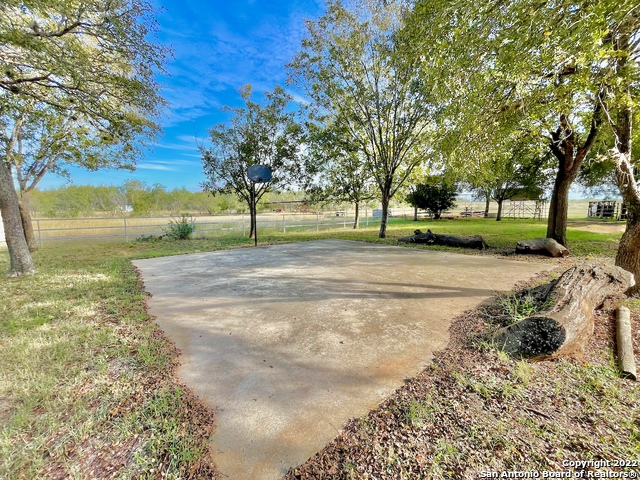 10671 Briggs Road Atascosa, TX 78002 - Photo 15 of 38 a view of a yard with a tree