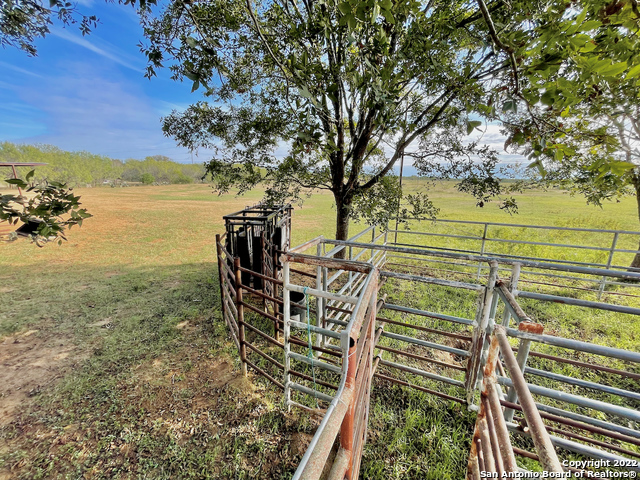 10671 Briggs Road Atascosa, TX 78002 - Photo 19 of 38 a view of a yard with an ocean view
