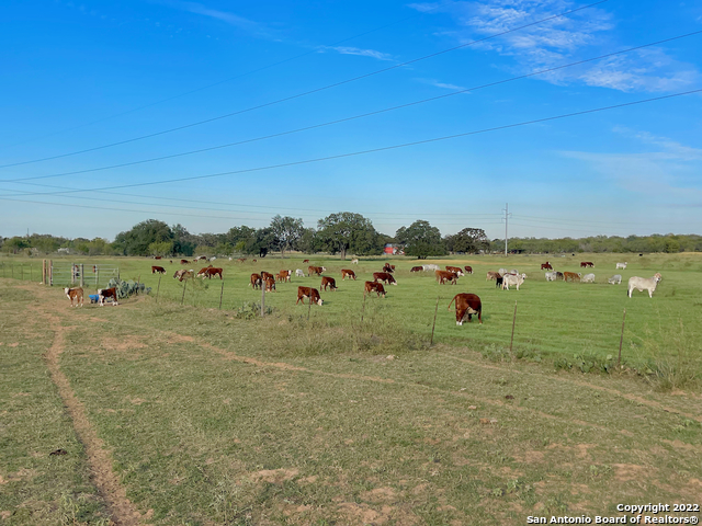 10671 Briggs Road Atascosa, TX 78002 - Photo 23 of 38 a picture of lake view
