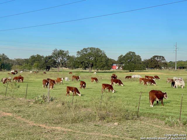 10671 Briggs Road Atascosa, TX 78002 - Photo 27 of 38 a view of a lake with outdoor space
