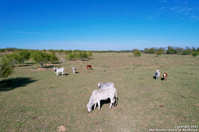 10671 Briggs Road Atascosa, TX 78002 - Photo 36 of 38 a picture of city view with beach