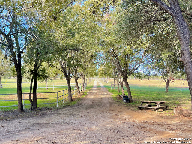 10671 Briggs Road Atascosa, TX 78002 - Photo 38 of 38 a view of a park with large trees