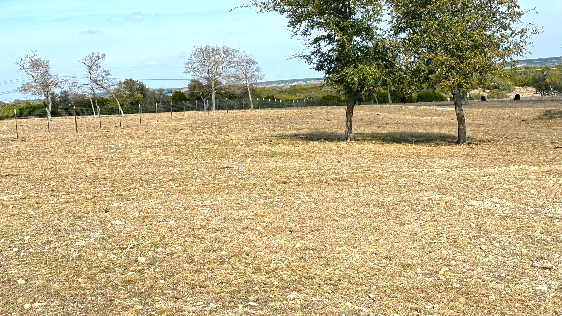 Tbd Whitetail Ridge Drive Kempner, TX 76539 - Photo 11 of 22 a view of a yard with trees