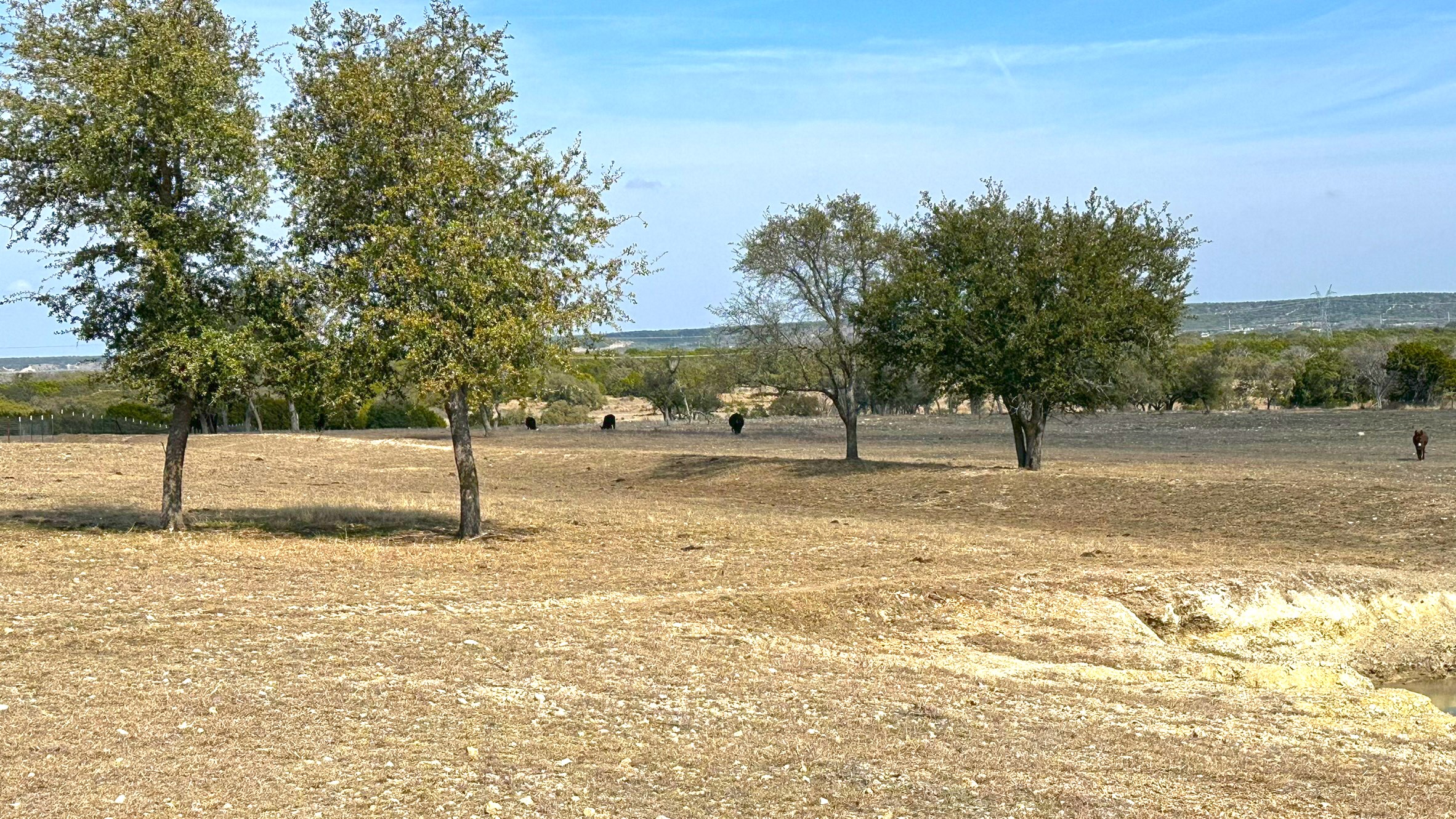 Tbd Whitetail Ridge Drive Kempner, TX 76539 - Photo 12 of 22 a view of a yard with trees
