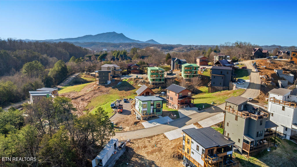 737 Bullwinkle Way Sevierville, TN 37862 - Photo 15 of 58 DJI_0802-HDR