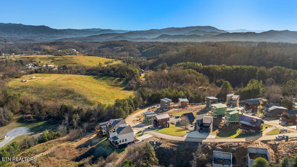 737 Bullwinkle Way Sevierville, TN 37862 - Photo 17 of 58 DJI_0822-HDR
