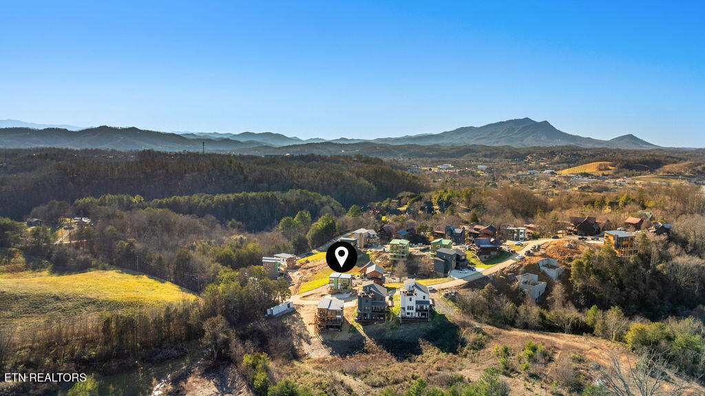 737 Bullwinkle Way Sevierville, TN 37862 - Photo 20 of 58 DJI_0867-HDR