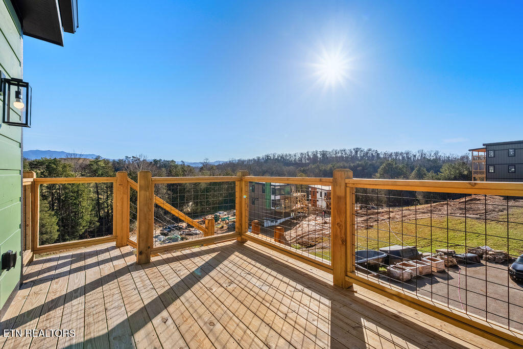 737 Bullwinkle Way Sevierville, TN 37862 - Photo 48 of 58 DSC02877-HDR