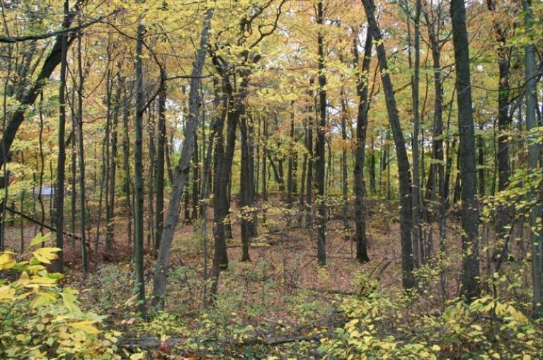 North Fruitport Road Spring Lake, MI 49456 - Photo 4 of 6 Additional Photo