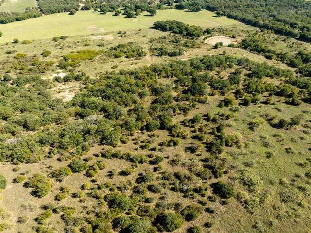 a view of a lot of trees and houses