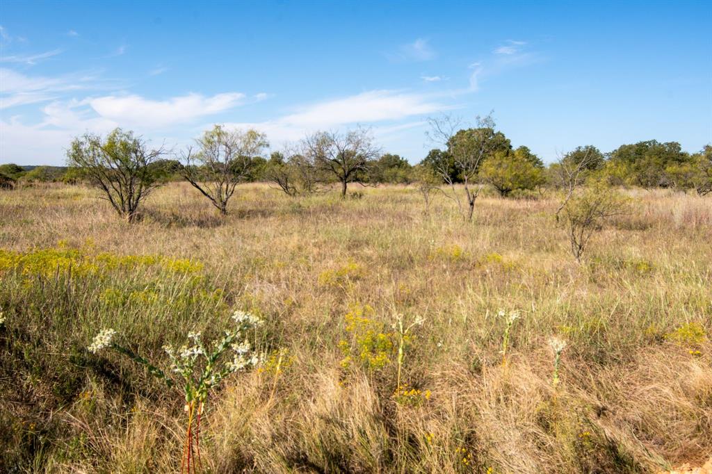 Tbd Oilfield Road Jacksboro, TX 76458 - Photo 4 of 34 a view of lake with green space