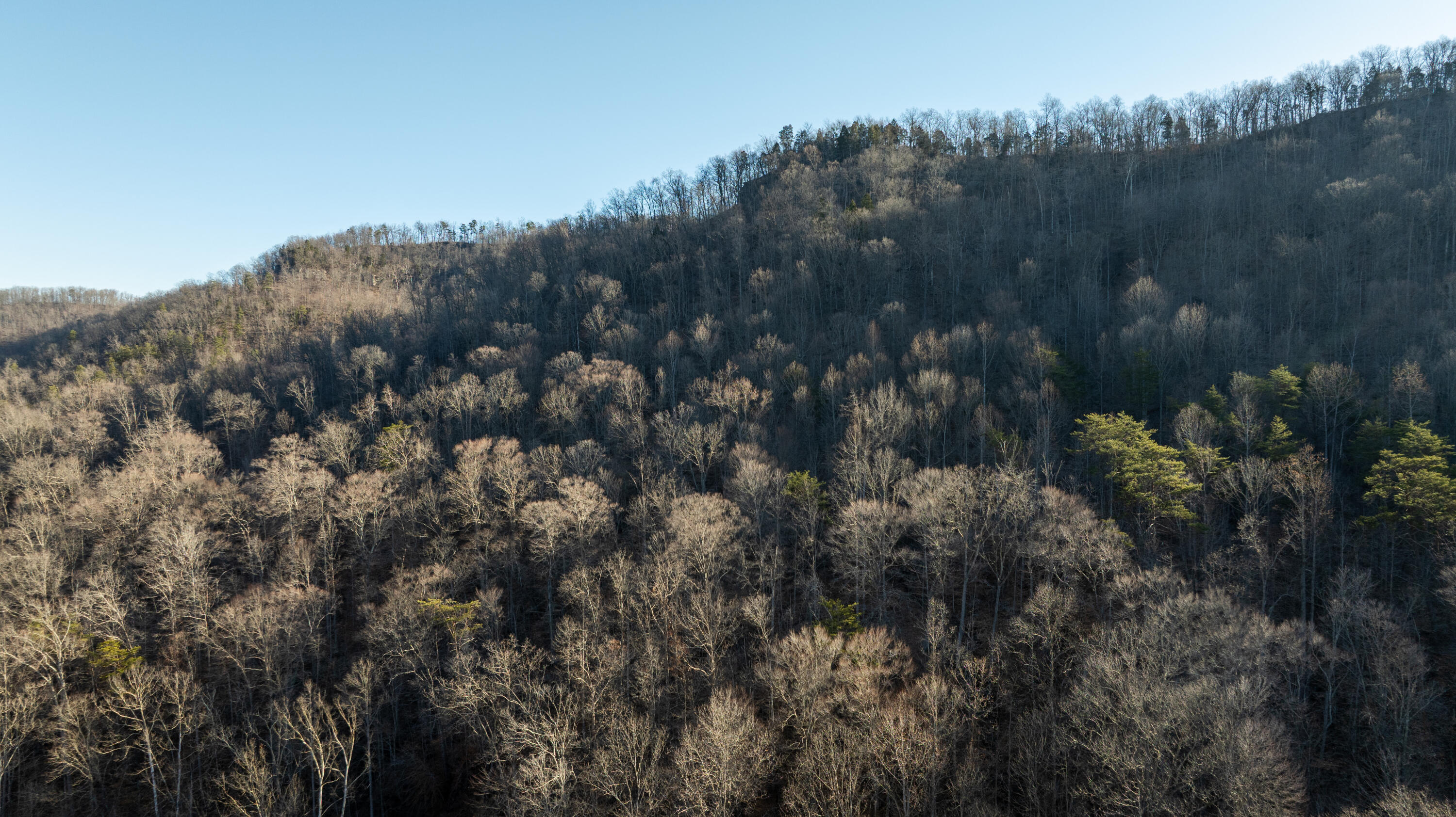 9999 North Bend Road Stanton, KY 40380 - Photo 26 of 84 026