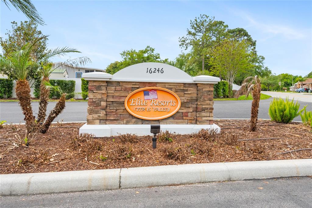 2451 Citrus Tree Road Clermont, FL 34714 - Photo 2 of 23