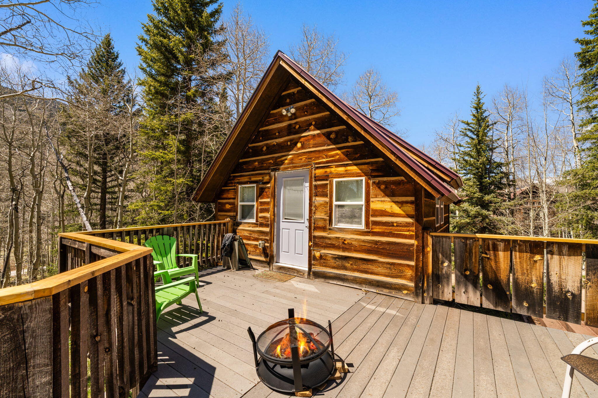 454 Silverglance Way Rico, CO 81332 - Photo 11 of 28 454 Silverglance