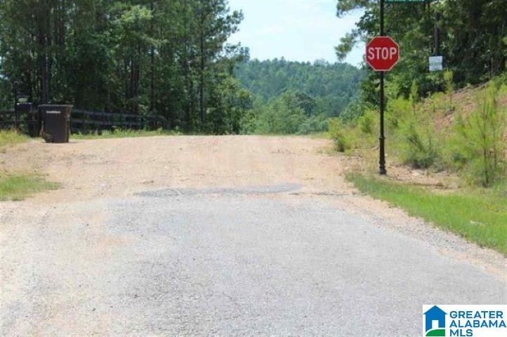 1 Shadow Oaks Way, Unit 59 2 ACRES Sterrett, AL 35147 - Photo 2 of 4