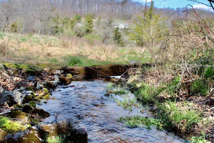 2011 Broadhead School Road Middlebrook, VA 24459 - Photo 26 of 41 16