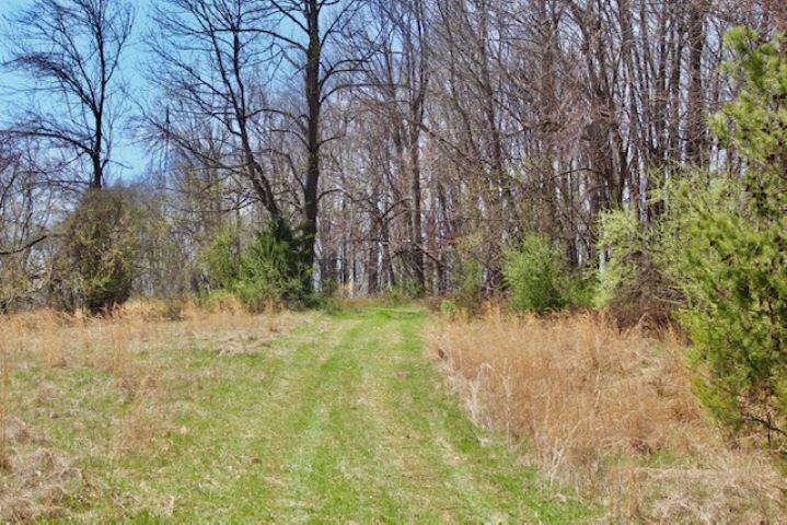 2011 Broadhead School Road Middlebrook, VA 24459 - Photo 35 of 41 32