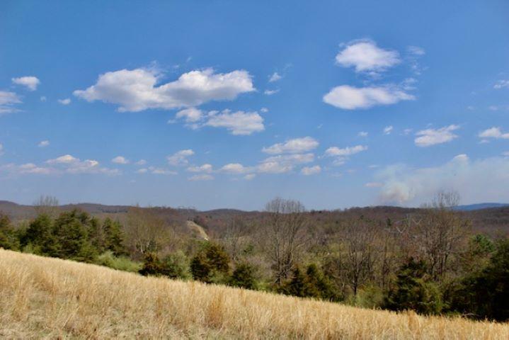 2011 Broadhead School Road Middlebrook, VA 24459 - Photo 39 of 41 36