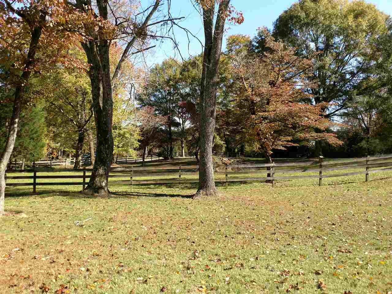 262 County Road 80 Riceville, TN 37370 - Photo 5 of 18 Gallery Image 5