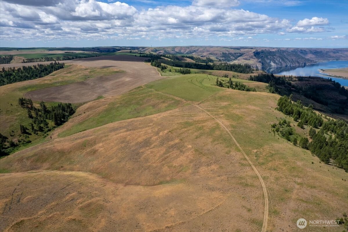 45000 Hanson Harbor Road North Wilbur, WA 99185 - Photo 2 of 34