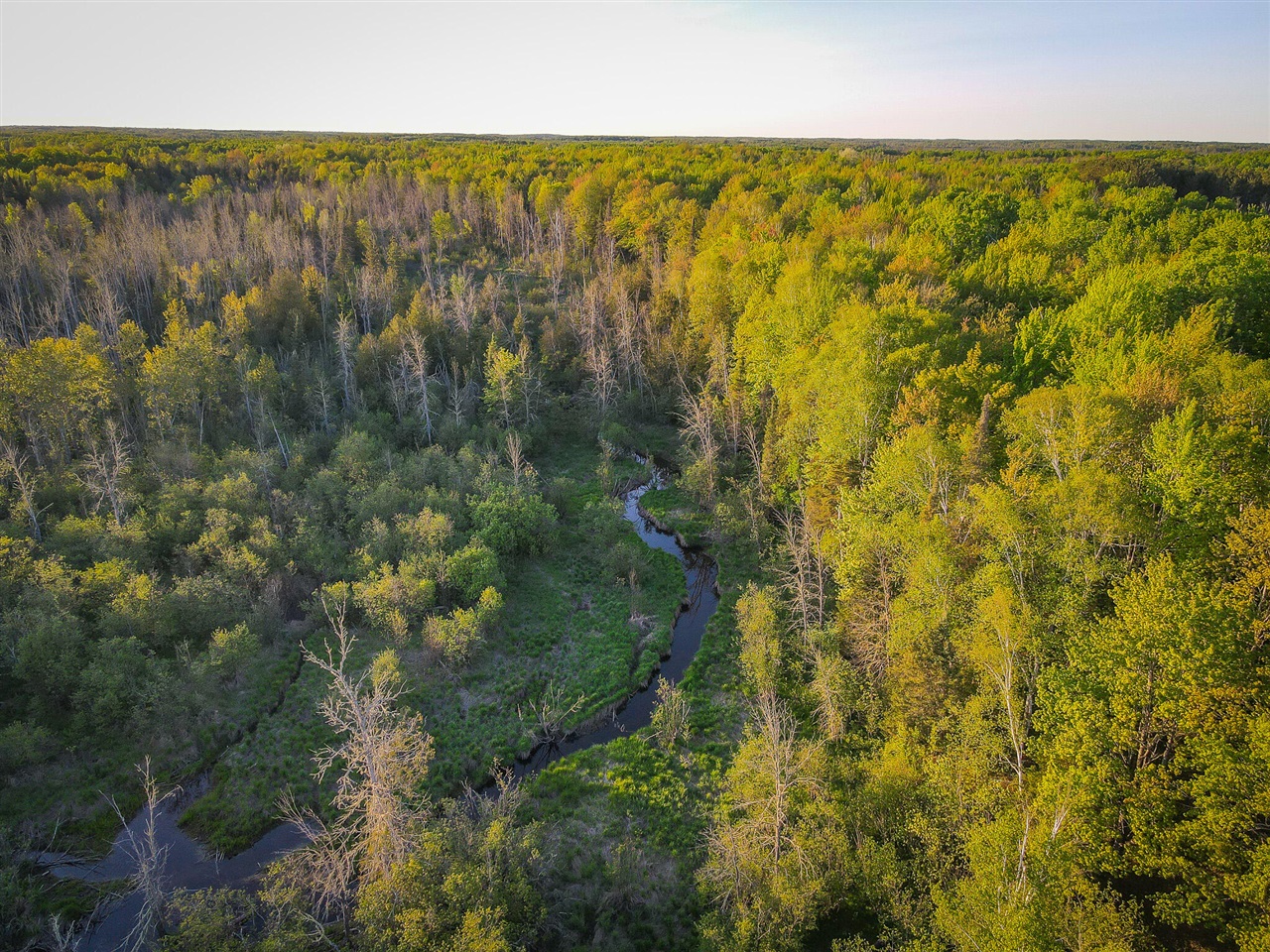 V/l V/l 33rd Road Gladstone, MI 49837 - Photo 15 of 70