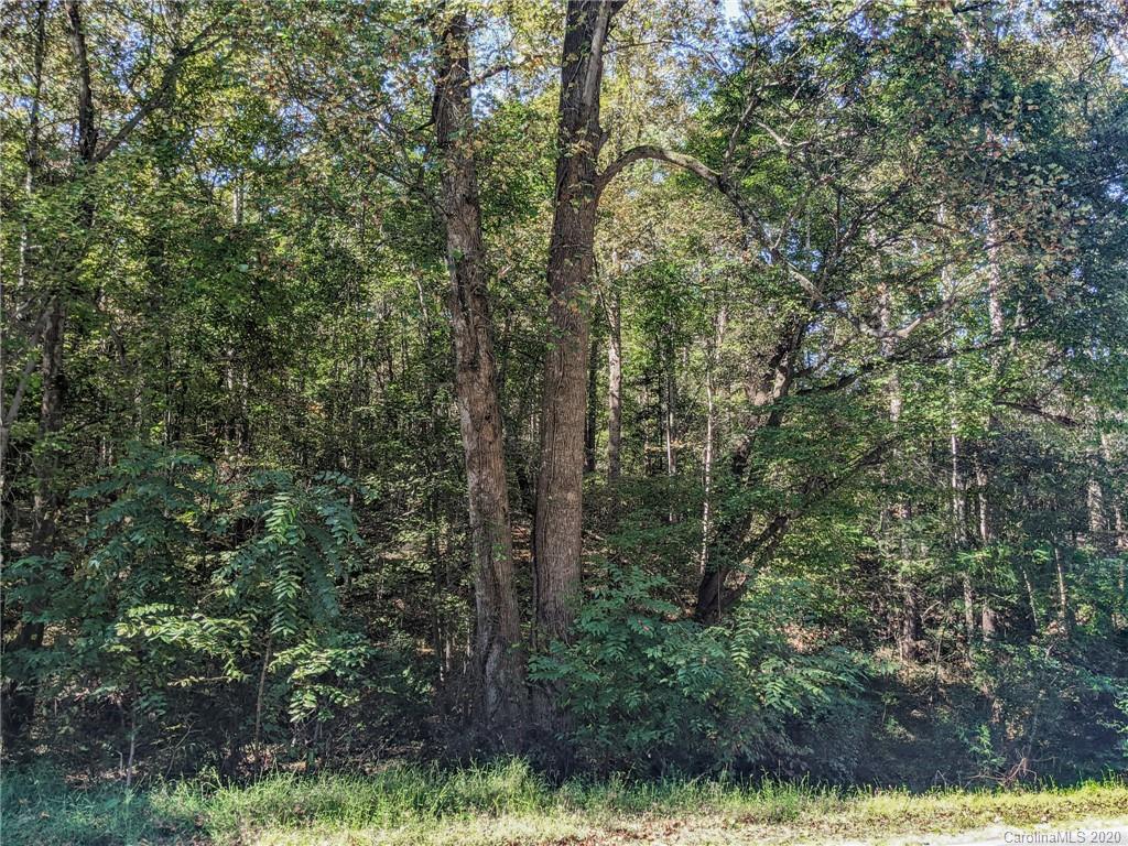6 Lee Cline Road, Unit 6 Conover, NC 28613 - Photo 5 of 5 Gallery Image 5