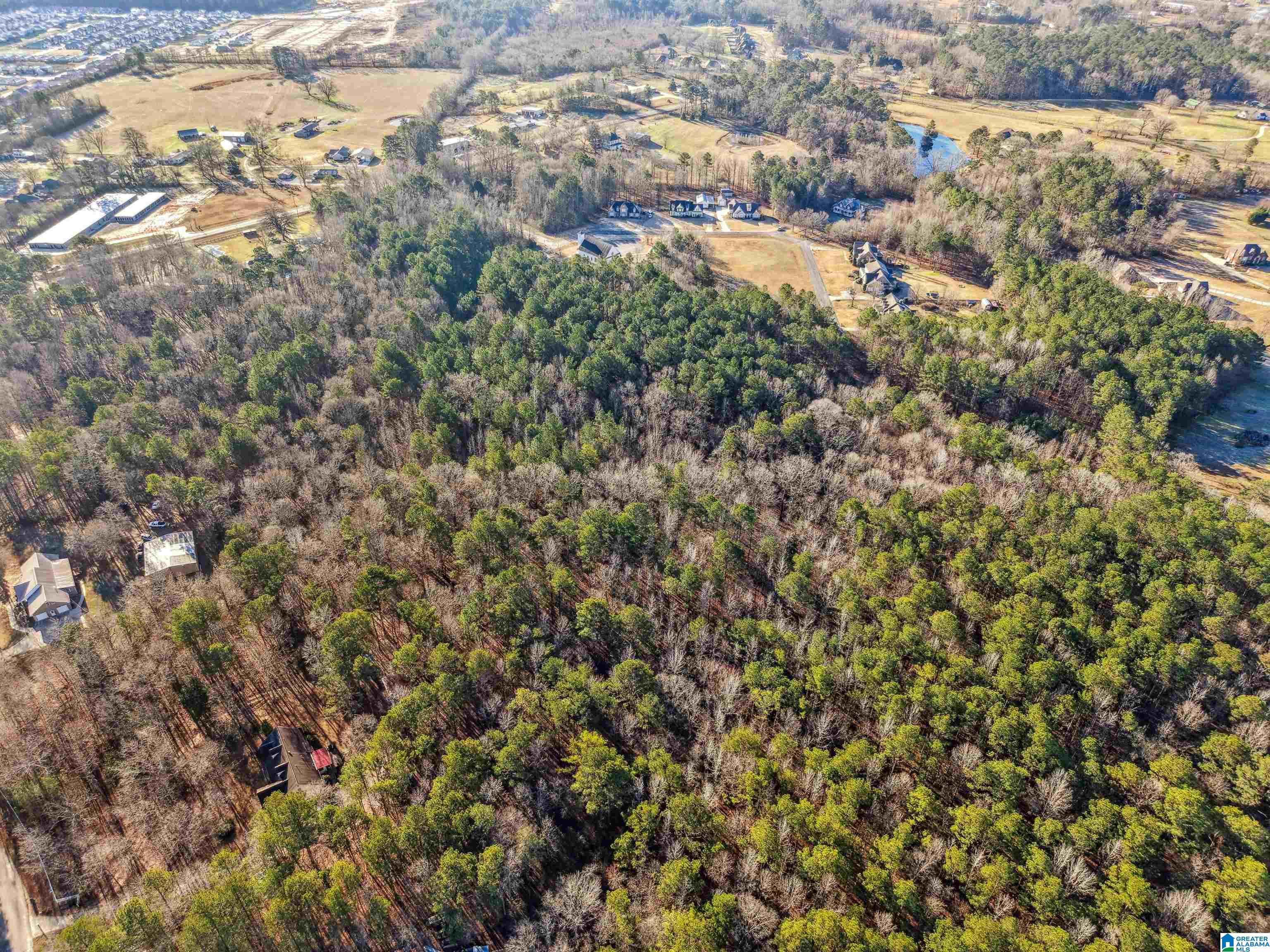 0 Branch Cove, Unit PHASE 2 Odenville, AL 35120 - Photo 16 of 32