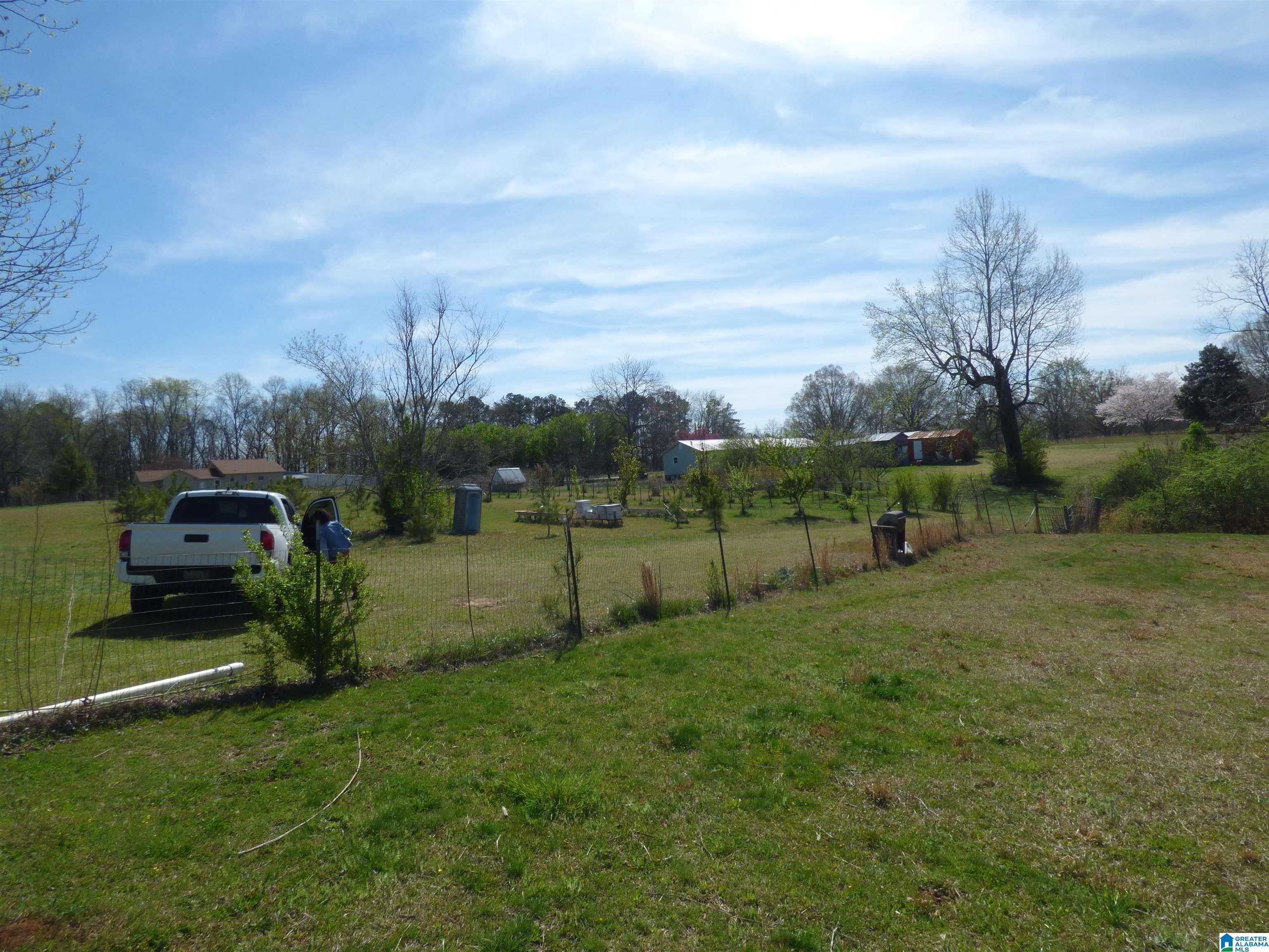 114 Haynes Road Altoona, AL 35952 - Photo 45 of 49