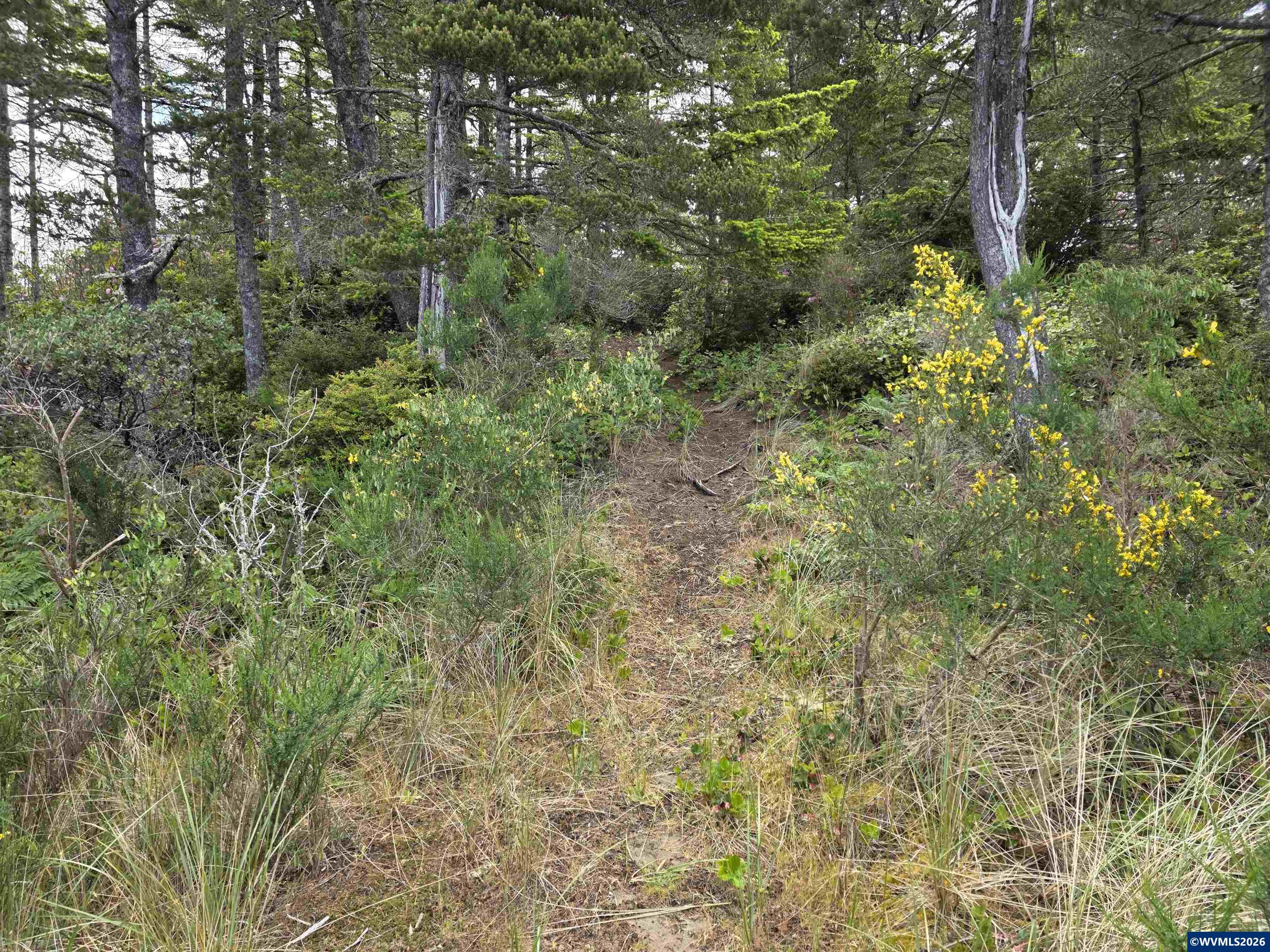 Lot 100 Highway 101 Florence, OR 97439 - Photo 3 of 8