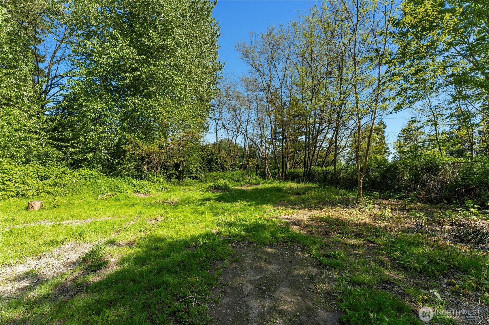 99 Sumner Avenue Sumner, WA 98390 - Photo 6 of 14