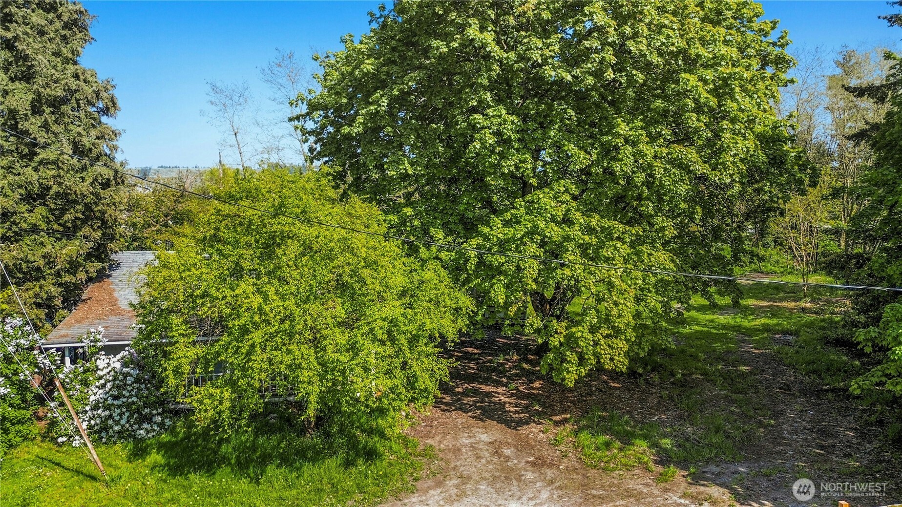 99 Sumner Avenue Sumner, WA 98390 - Photo 8 of 14