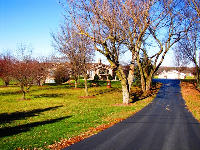 a view of a swimming pool with an outdoor space
