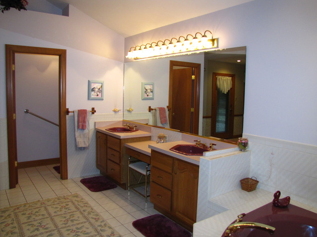 170 Montgomery Road Montgomery, IL 60538 - Photo 17 of 25 a bathroom with a sink and a mirror