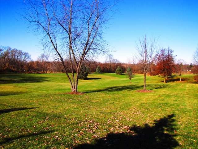 170 Montgomery Road Montgomery, IL 60538 - Photo 25 of 25 a view of a field with an trees
