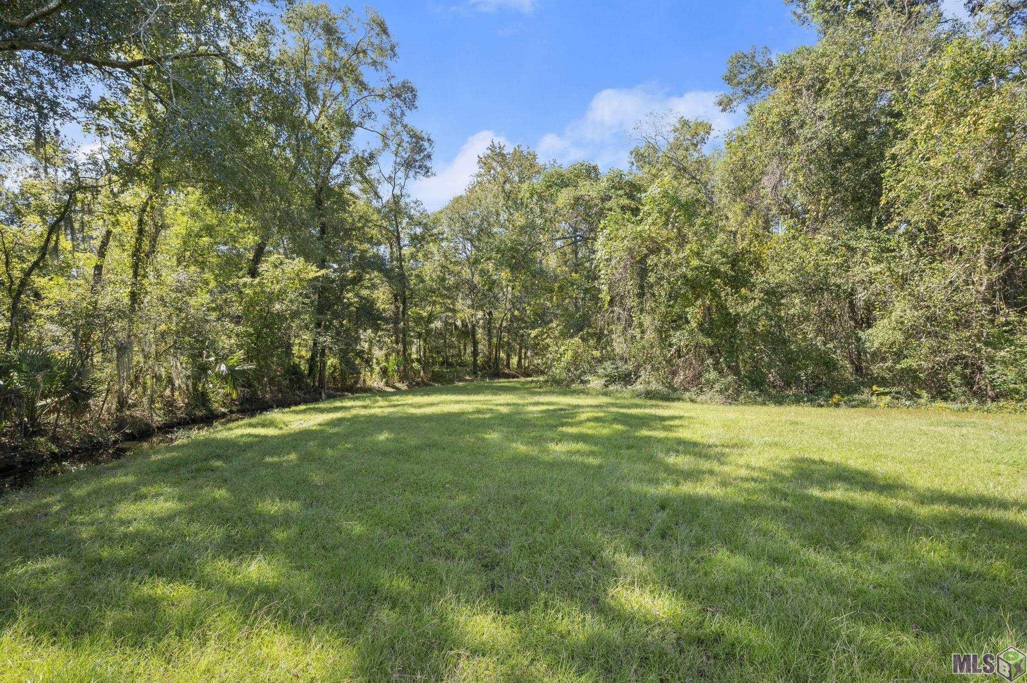 11111 George Lambert Road St. Amant, LA 70774 - Photo 2 of 14